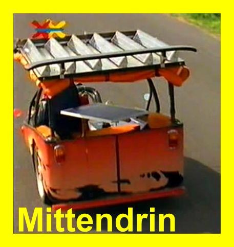 Mittendrin-Anjas Bikel von hinten